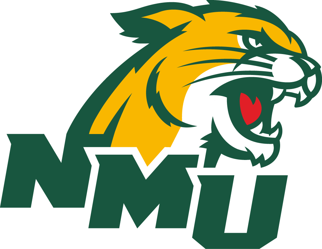 Northern Michigan Wildcats 2016-Pres Secondary Logo v2 DIY iron on transfer (heat transfer)